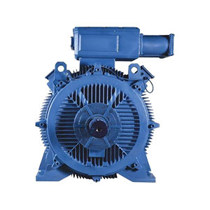 Electric Motors